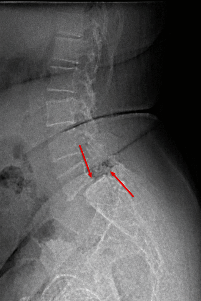 chatgpt image jan 14, 2026, 03 46 58 pm