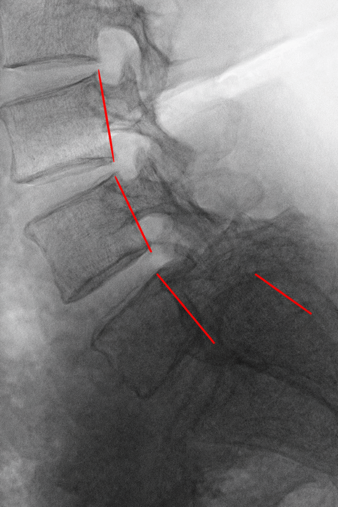 chatgpt image jan 14, 2026, 04 17 06 pm